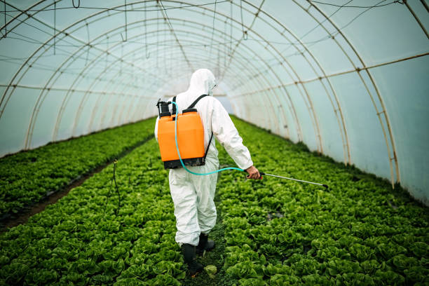 Pest Control for Restaurants in Diamond, MO