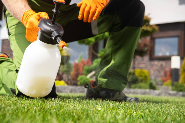 Pest Prevention Services in Diamond, MO