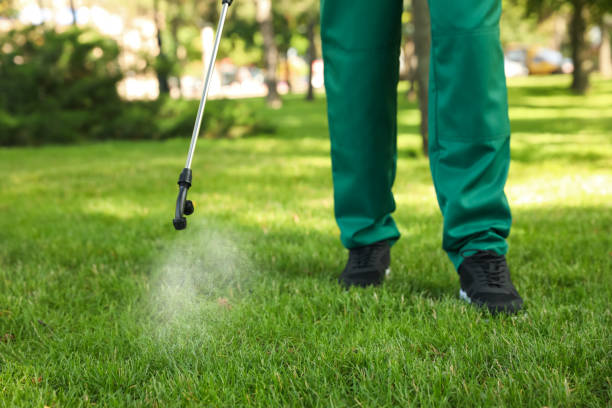 Best Bed Bug Extermination  in Diand, MO