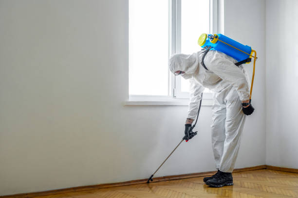 Insect Control in Diamond, MO