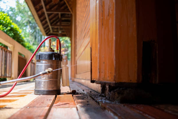 Best Exterminator Services  in Diand, MO