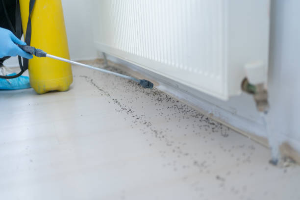 Best Emergency Pest Control  in Diand, MO