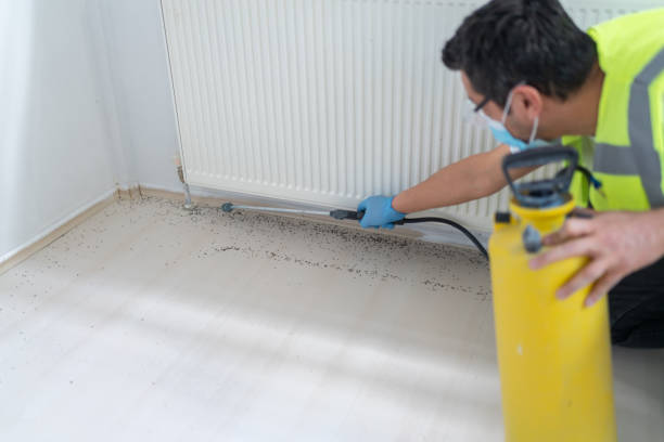 Best Local Pest Control Services  in Diand, MO