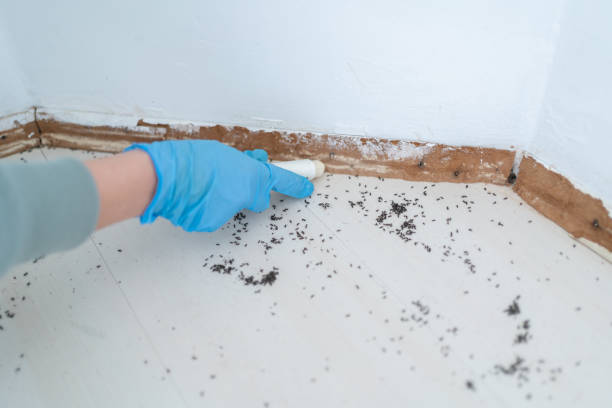 Best Wildlife Control Services  in Diand, MO