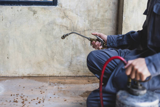 Best Mosquito Control Services  in Diand, MO