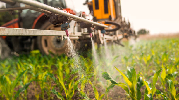 Professional Pest Control in Diamond, MO