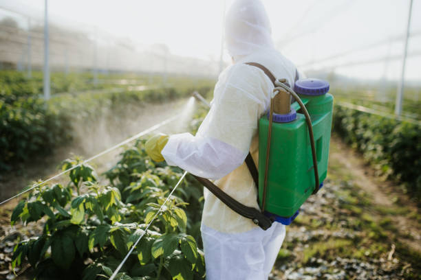 Best Bed Bug Extermination  in Diand, MO